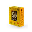    Ecocha () 24 . 